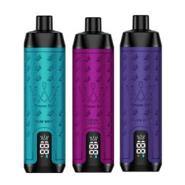 Al Fakher Crown Bar 12000 Züge Einweg Vape mit integrierter Hookah-Soundwave