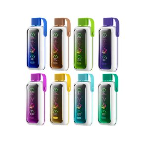 VOZOL Star 20000 Dual Power Wiederaufladbare Vape (1 Vape)