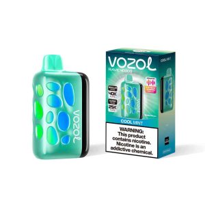 Quantity order VOZOL Rave 40000 - 10 pieces pack