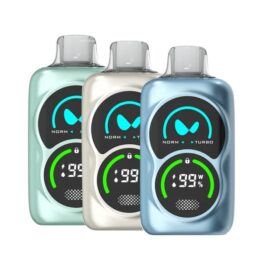 Waka PA25000 Züge Einweg Vape 50mg (10 Stück)