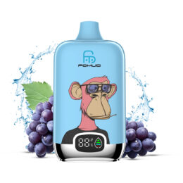 Fomud G29 Einweg Vape 12000 Züge (10 Stück)
