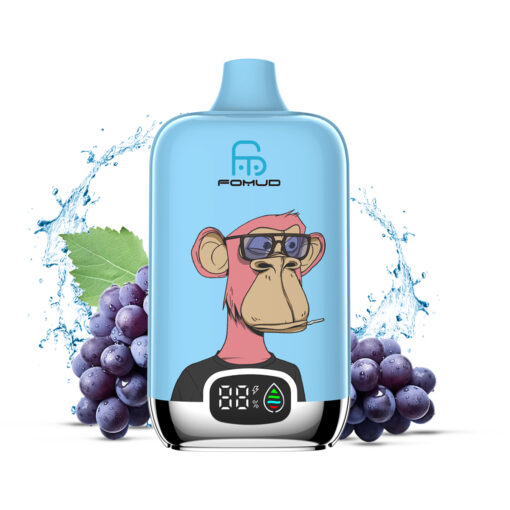 Fomud G29 Einweg Vape 12000 Züge (10 Stück)