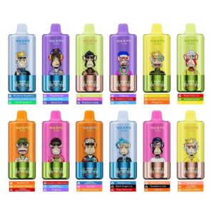 WASPE 60000 3-in-1 Einweg Vape mit Triple Flavor (2 Stück)