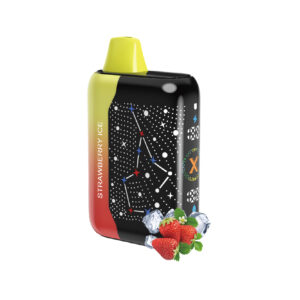 Rahdm X36 Sternenhimmel Einweg Vape 30000 Züge (10 Stück)