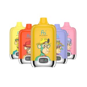 Fumot Vape 12000 (10 Stück) – Randm Tornado 12000